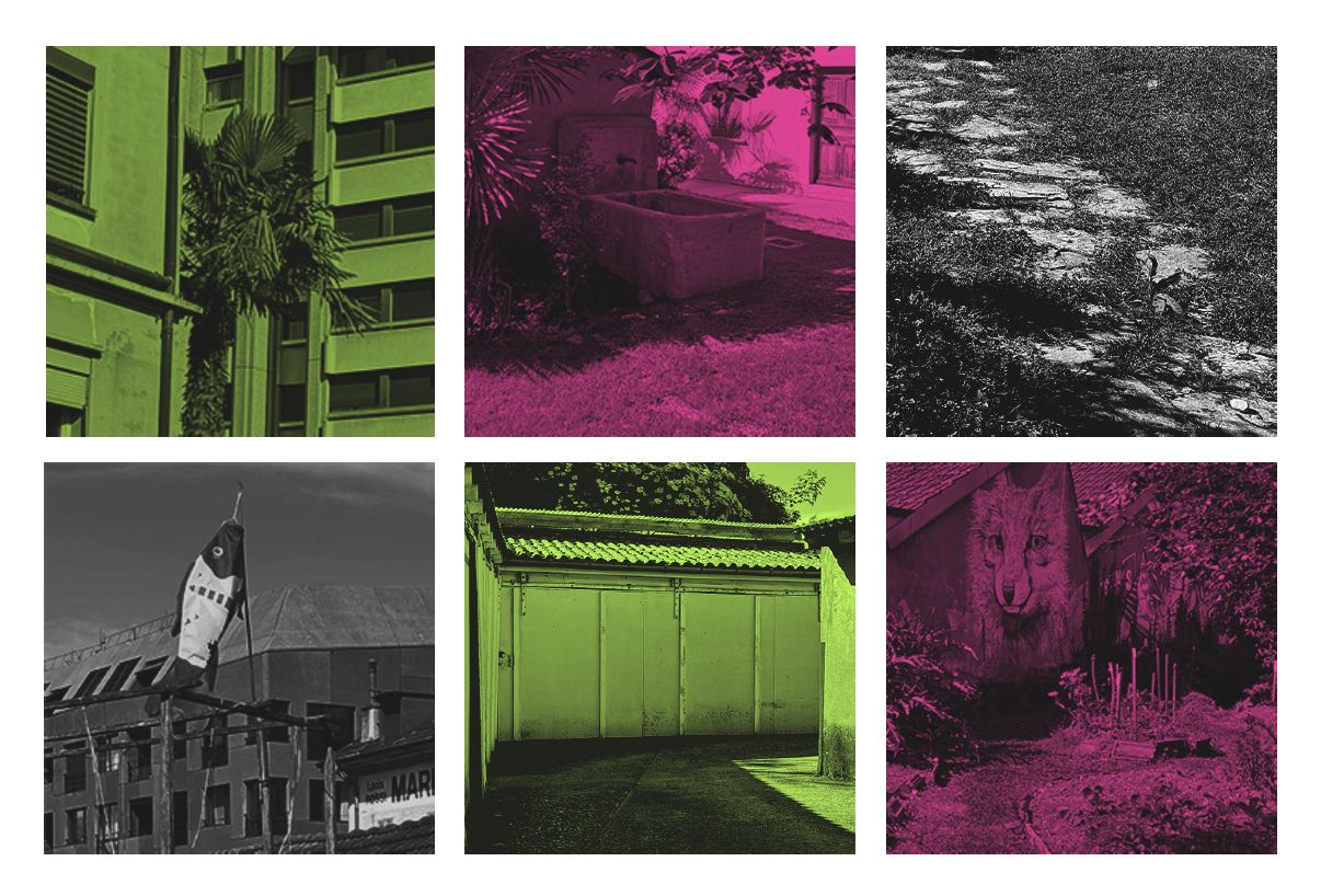 Assemblage d'images du quartier
