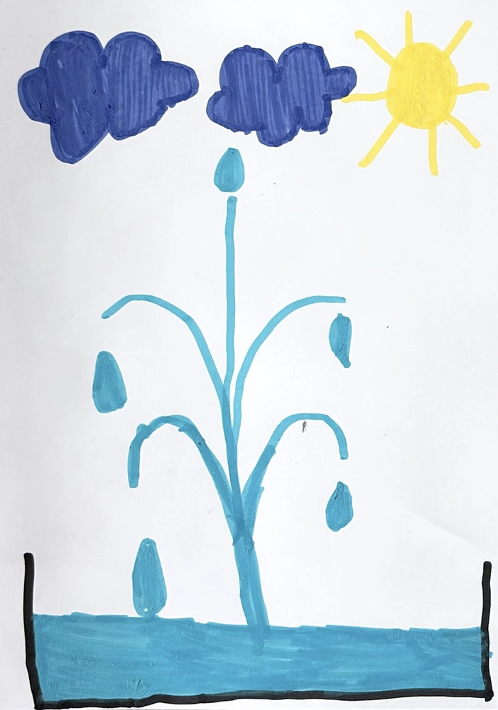 Image média: Elias, 6 ans    