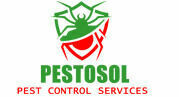 Avatar: pestosol